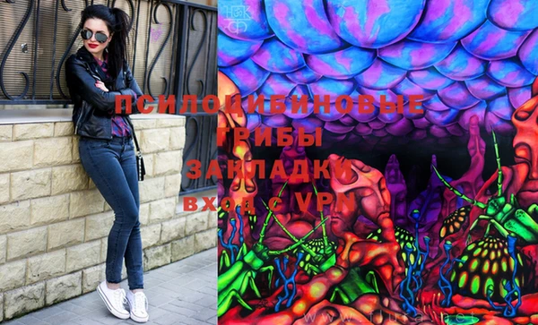 крисы Карпинск