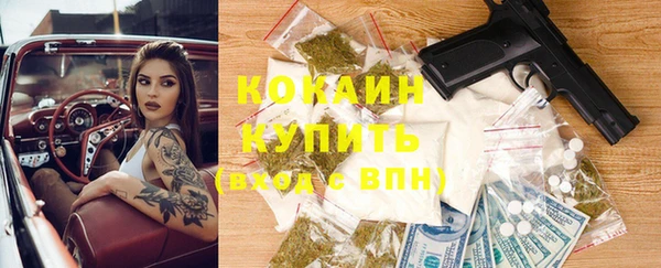 крисы Карпинск
