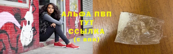 крисы Карпинск