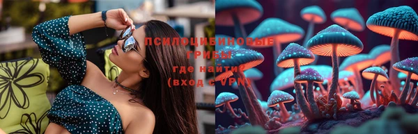 крисы Карпинск