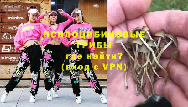 крисы Карпинск